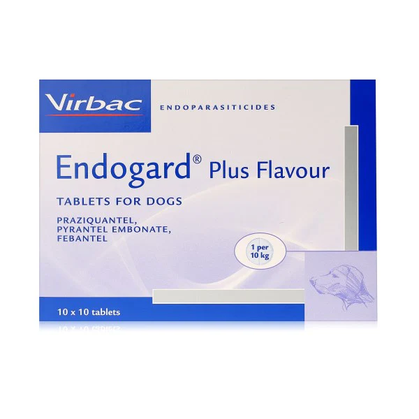 Dogs Fleas, Ticks and Worming